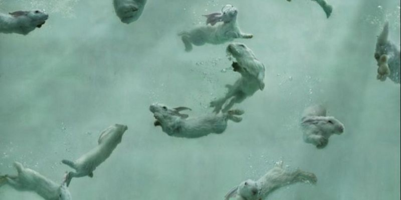 Museum Nights: AWE some Fab YOU lous / Calendar University of Florida